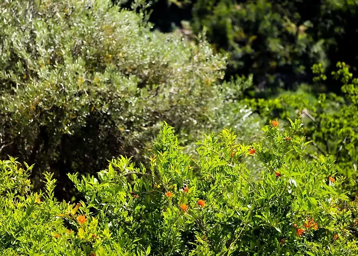 Nocleg ze śniadaniem Conte Cavour Peschici