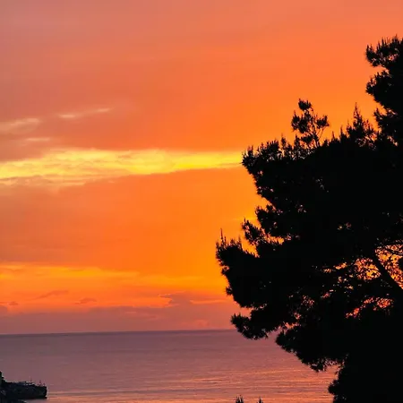 Conte Cavour 3*