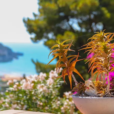 Bed & Breakfast Conte Cavour