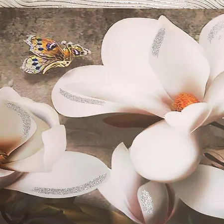 Bed & Breakfast Conte Cavour 3*