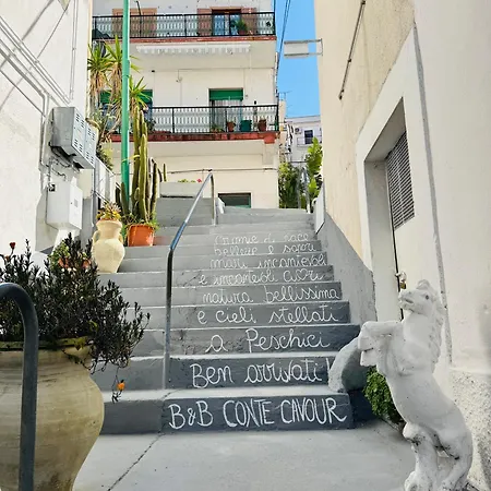 Conte Cavour 3*